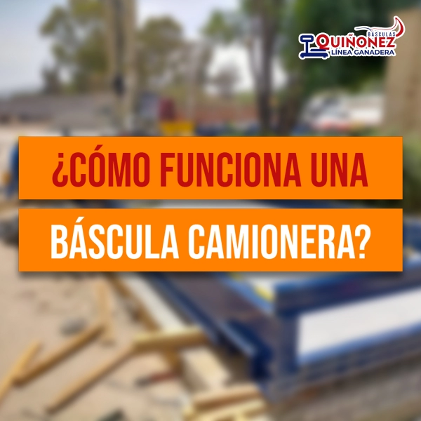 ¿Cómo funciona una Báscula Camionera Quiñonez?