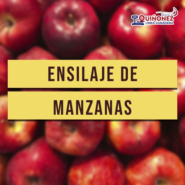 Ensilaje de manzana